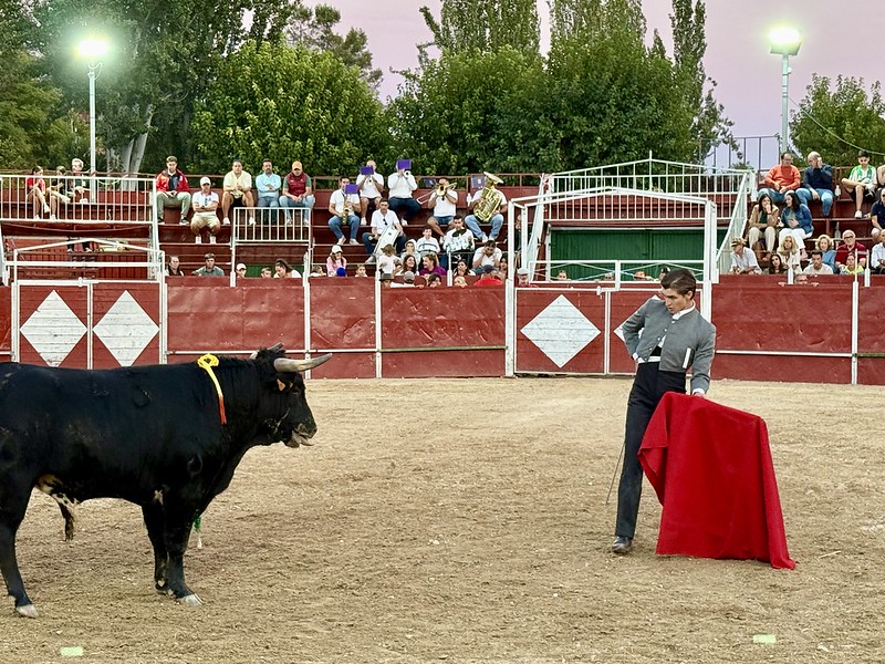 torosvillar20251