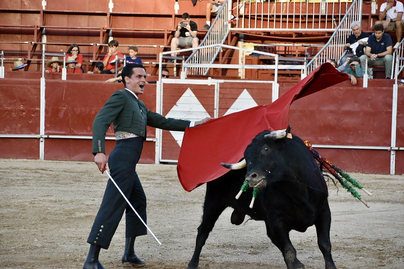 torosvillar20252