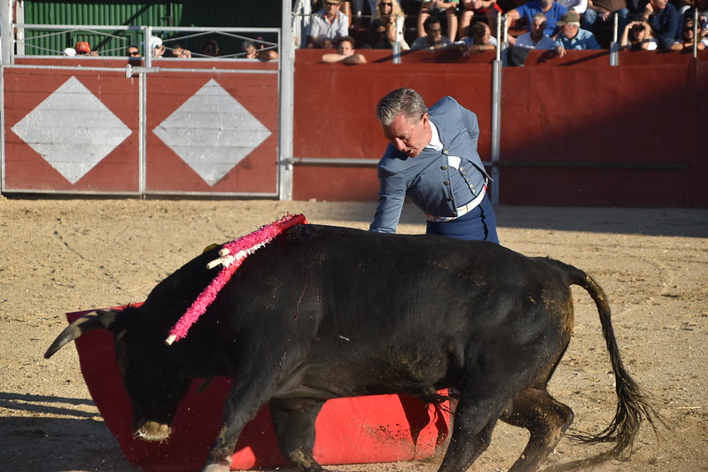 torosvillar20253
