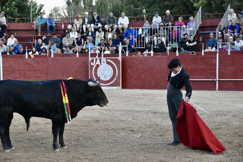 torosvillar20255