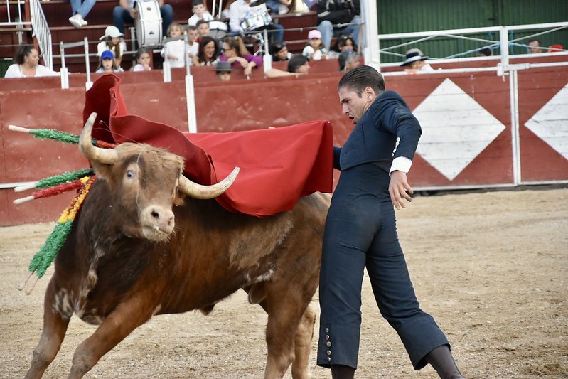 torosvillar20256